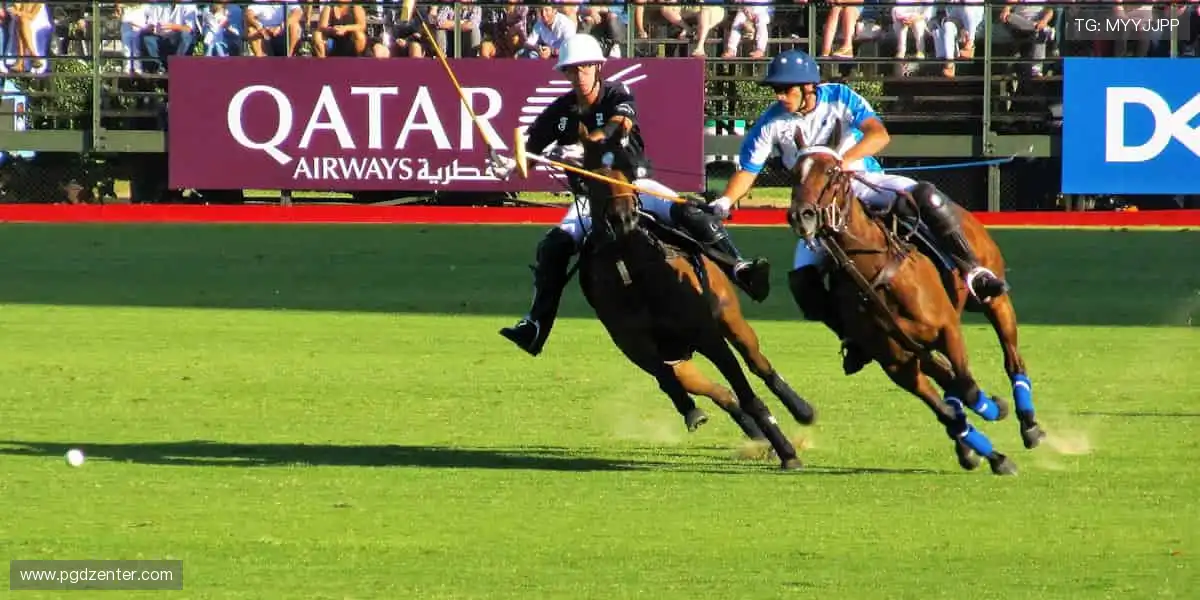 真人体育娱乐中心：荷官赛事多种高赔，投注不缺席